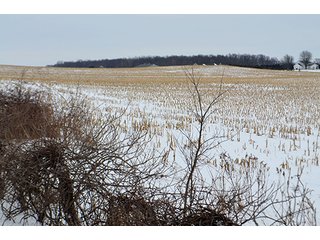 Property photo 14 - AUCTION, 206 Contiguous Acres offered in 5 Tracts